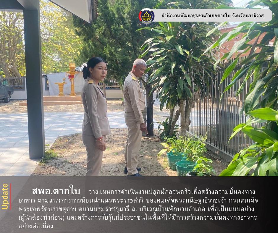 สำนักงานพัฒนาชุมชนอำเภอตากใบ วางแผนการดำเนินงานปลูกผักสวนครัว สร้างความมั่นคงทางอาหาร เพื่อคุณภาพชีวิตที่ดีและมีความมั่นคงทางอาหาร